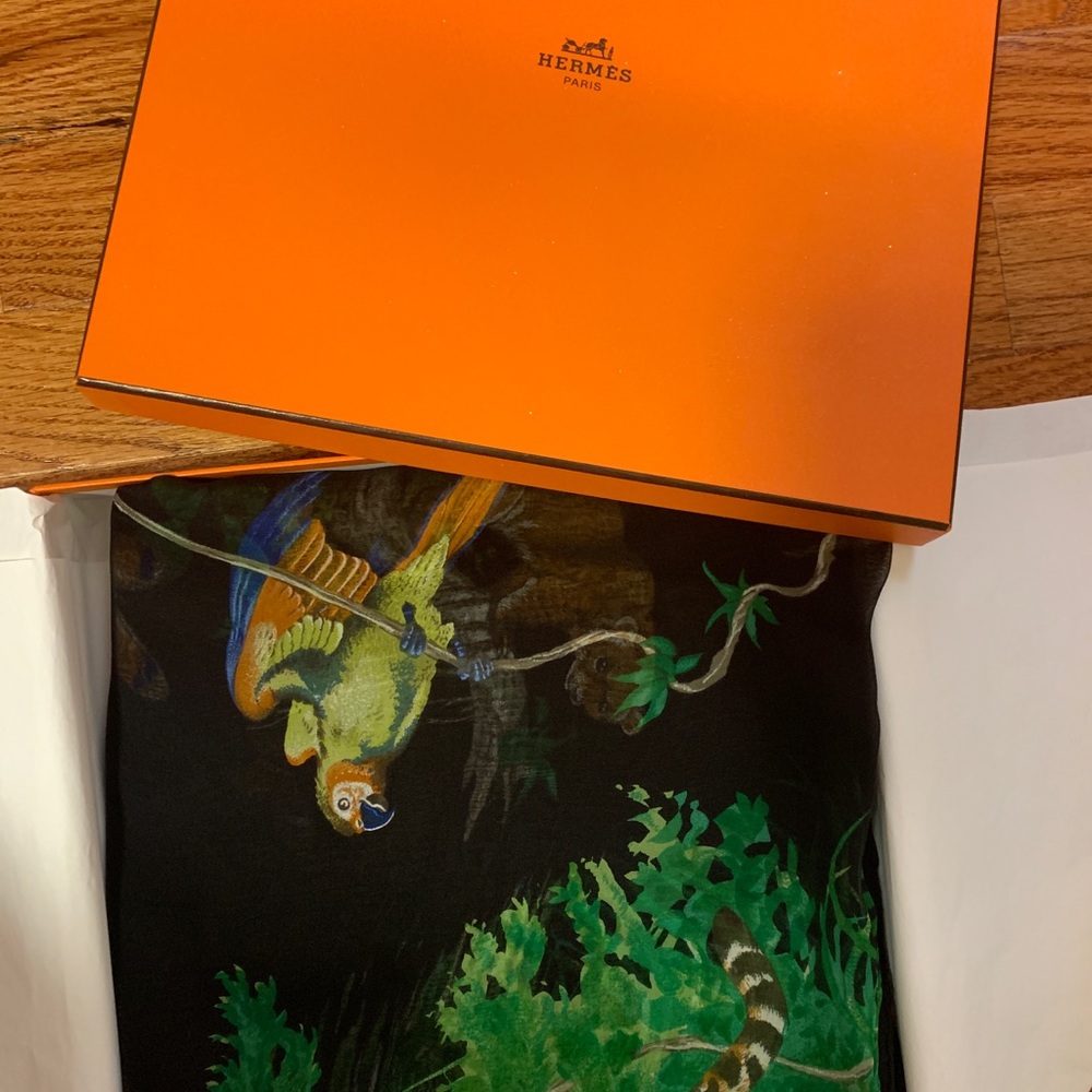 Hermes silk scarf